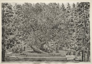 Vistas de la Villa de Pratolino: El Árbol Habitado