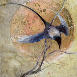  de Stephanie Law