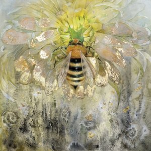  de Stephanie Law