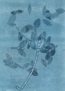 Jardín de medianoche I, 2015 (monocopia sobre papel) de Stephen Dow