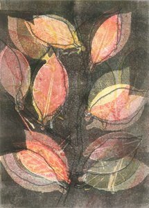 Jardín de medianoche V, 2015 (monocopia sobre papel) de Stephen Dow