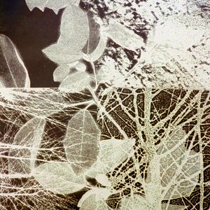 Bosque nocturno, 2018 (digital) de Stephen Dow