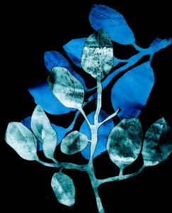 Jardín nocturno, 2017 (digital, a partir de un collagraph) de Stephen Dow
