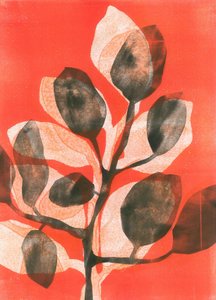 Jardín de verano III, 2015 (monocopia sobre papel)