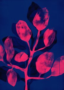 Jardín de verano III rosa, 2018 (digital) de Stephen Dow