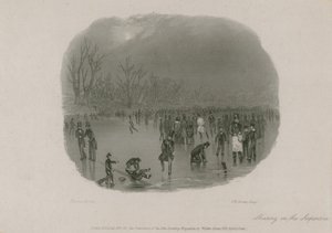Patinaje en el Serpentine, Hyde Park, Londres de Stephen Pearce