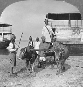 Carro de transporte militar con una escolta de soldados indios, Birmania, 1898 de Stereo Travel Co