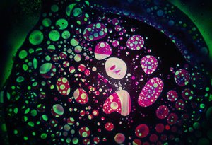 Aceites oscuros, 2024 de Steve Pavlovsky