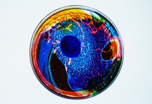 Koan, 2024 de Steve Pavlovsky