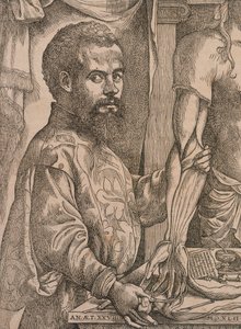 Andreas Vesalius diseccionando los músculos del antebrazo de un cadáver, 1543 de Steven van Calcar