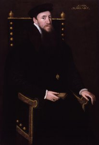 Henry Fitzalan, duodécimo conde de Arundel