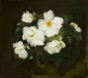 Rosas blancas
