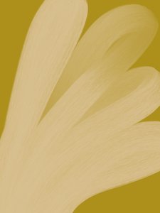  de Studio Palette