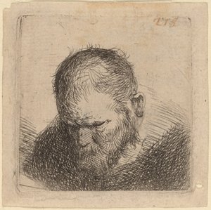 Hombre barbudo mirando hacia abajo de Studio of Rembrandt van Rijn