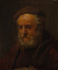 Estudio de la cabeza de un anciano