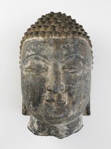 Cabeza colosal de Buda de Sui Dynasty Chinese School
