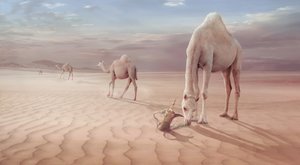  de Sulaiman Almawash