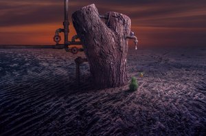  de Sulaiman Almawash