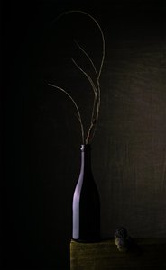 Naturaleza muerta con botella oscura de Sumit Dhuper