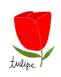 Tulipán rojo intenso de Susan Black