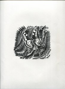 Mariposas tropicales (grabado en madera) de Suzanne Cooper