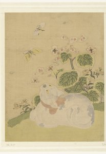 gato y mariposas de Suzuki Harunobu (attributed to)