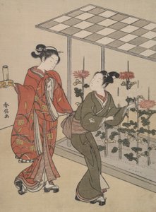 Visualización de crisantemos de Suzuki Harunobu