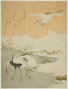 Grullas en la orilla del mar de Suzuki Harunobu