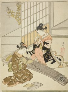 Gansos descendiendo de los puentes de Koto