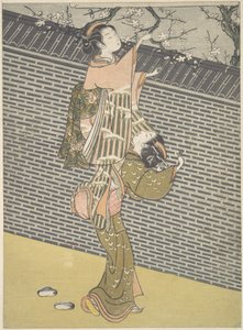 Coger una rama del ciruelo de un vecino de Suzuki Harunobu