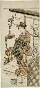 El actor Segawa Kikunojo II como la cortesana Umegae en la obra "Hiragana Seisuiki," representada en el Teatro Ichimura en el primer mes de 1764 de Suzuki Harunobu