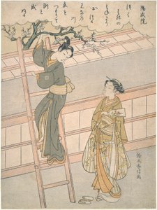 El comienzo del amor de Suzuki Harunobu
