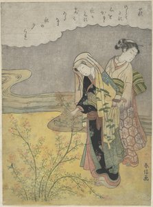 El trébol arbustivo (Hagi) de Suzuki Harunobu