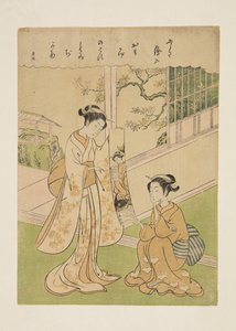 Obra desconocida de Yoneyama Teiga de Suzuki Harunobu