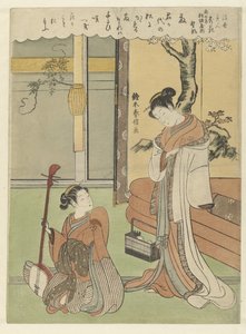 Wisteria: la cortesana Nokaze del sur de Matsuzakaya. Minami no kata Matsuzakaya uchi Nokaze, Fuji (título sobre el objeto) bellezas del mundo que fluye; poemas sobre flores Ukiyo bijin, hana ni yoseru (título de la serie sobre el objeto) de Suzuki Harunobu