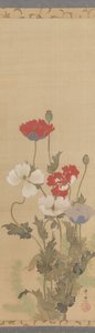 Amapolas, mediados del siglo XIX de Suzuki Kiitsu