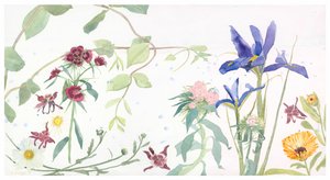  de Suzy Fasht