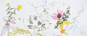  de Suzy Fasht