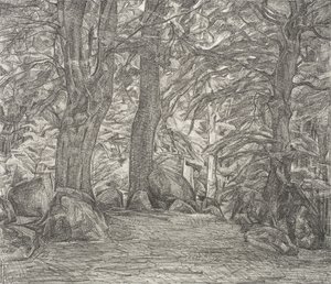 Paisaje forestal de Falster de Svend Hammershøi