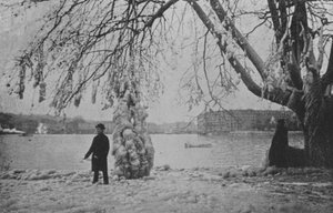 En Eaux-Vives en Ginebra, Invierno 1896