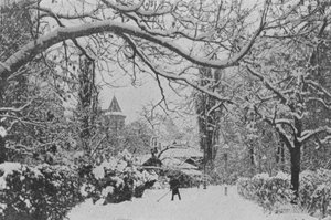 Neuchatel, El Jardín inglés