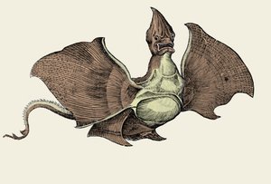Monstruo marino fantástico, ilustración de 