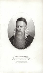 Gaspard Bauhin de Swiss School
