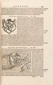 Página 983 de Cosmographiae Universalis por Sebastian Muenster, Basilea, 1572 de Swiss School