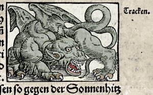 Representación de un dragón: grabado del “Den Edlen Strengen Besten Fromen” de Johann Stumpff. 1550 de Swiss School
