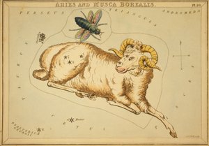 Aries y Musca Borealis, Ilustración de 