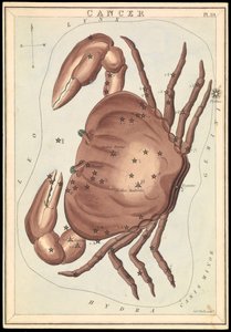 Cáncer, c.1825 (cartulina, papel, tejido )