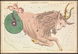 Capricornus, c.1825 (cartulina, papel, tejido ) de Sydney Hall