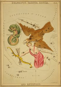 Delphinus, Sagitta, Aquila y Antinous, Ilustración de 