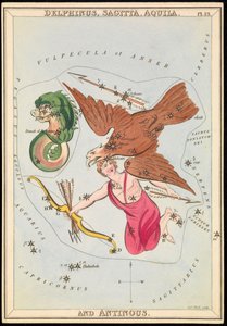 Delphinus, Sagitta, Aquila y Antinoo, c.1825 (cartulina, papel, tejido) de Sydney Hall